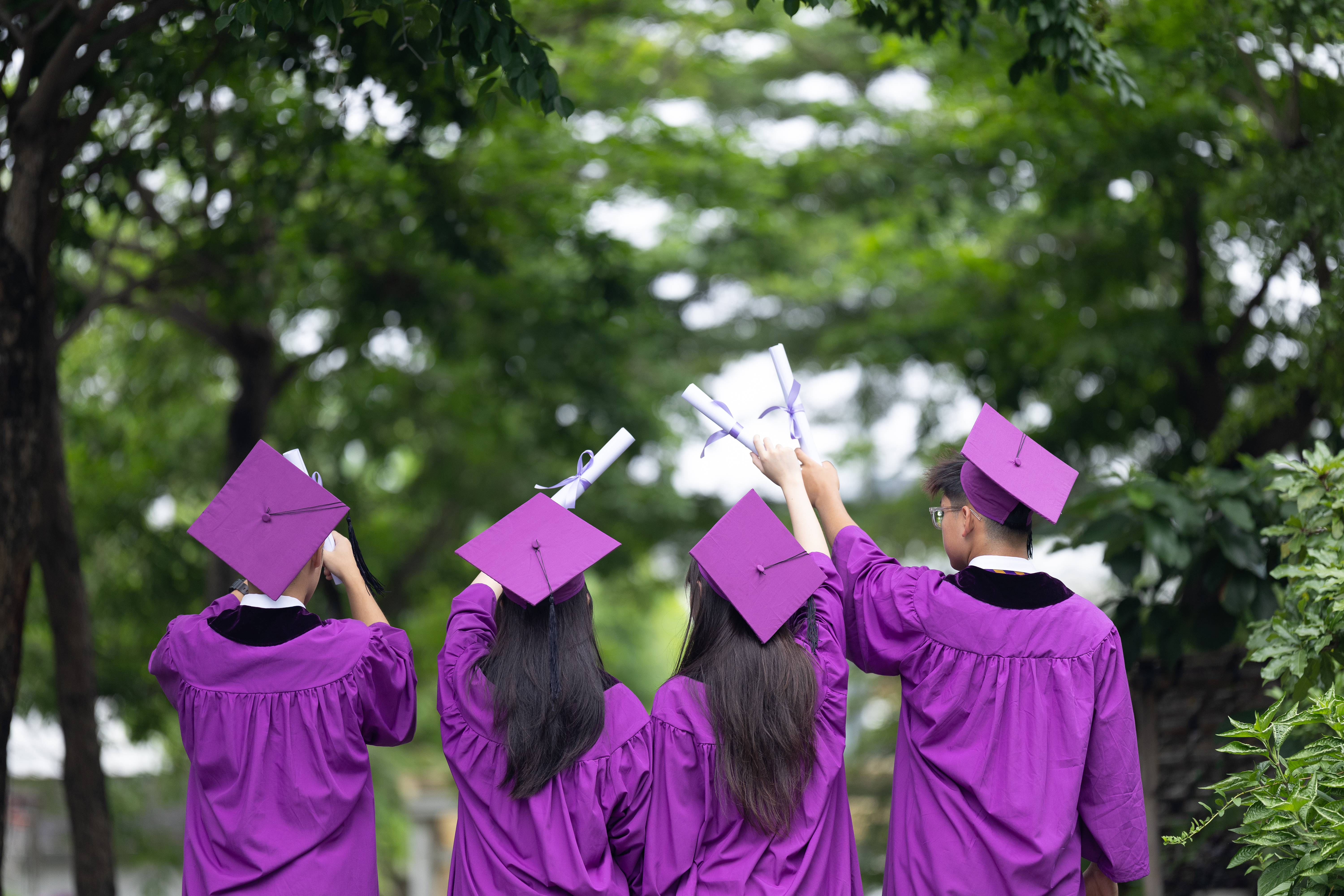 IB Diploma gồm những gì