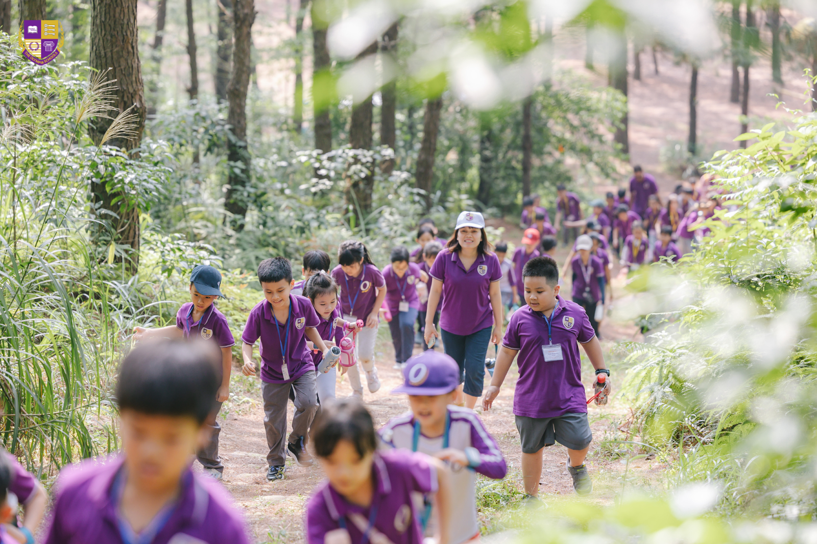 tri-thong-minh-thien-nhien-01 tri-thong-minh-thien-nhien-01