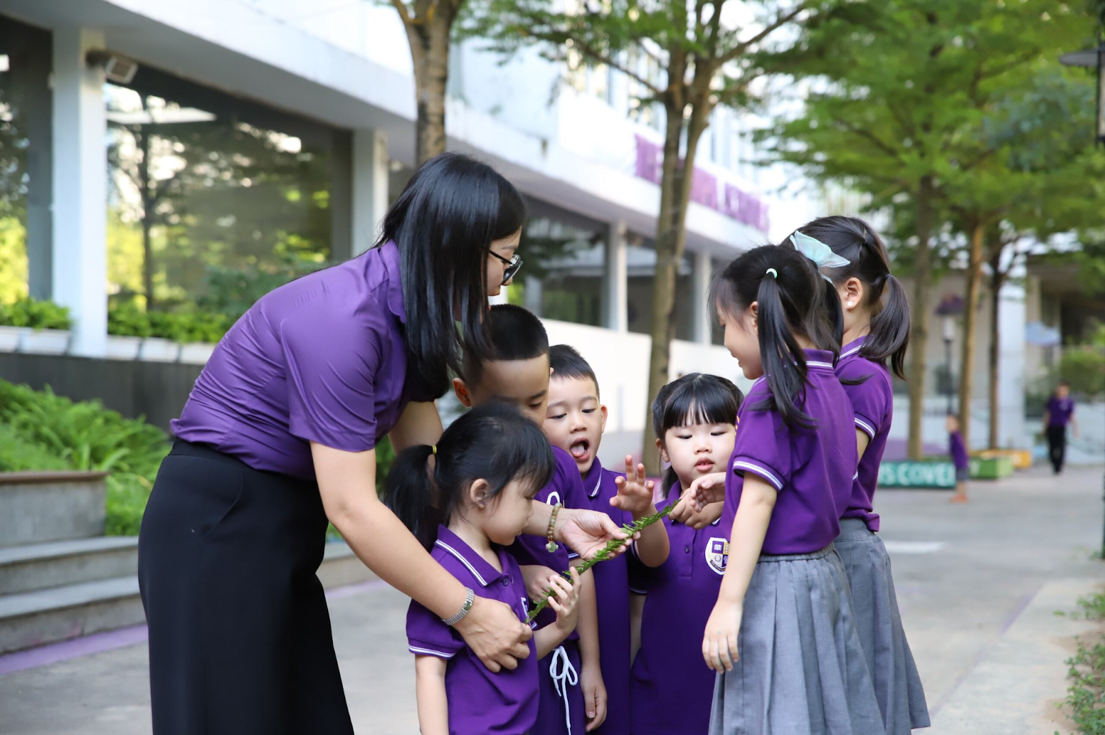 cac-truong-mam-non-song-ngu-tai-ha-noi-01