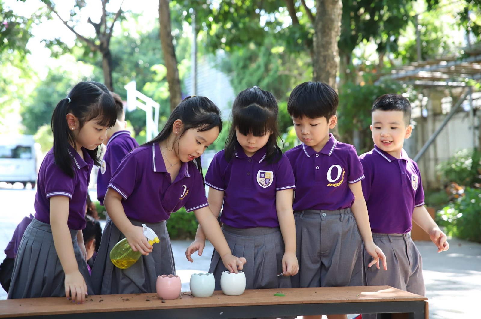 truong-olympia-tuyen-sinh-02