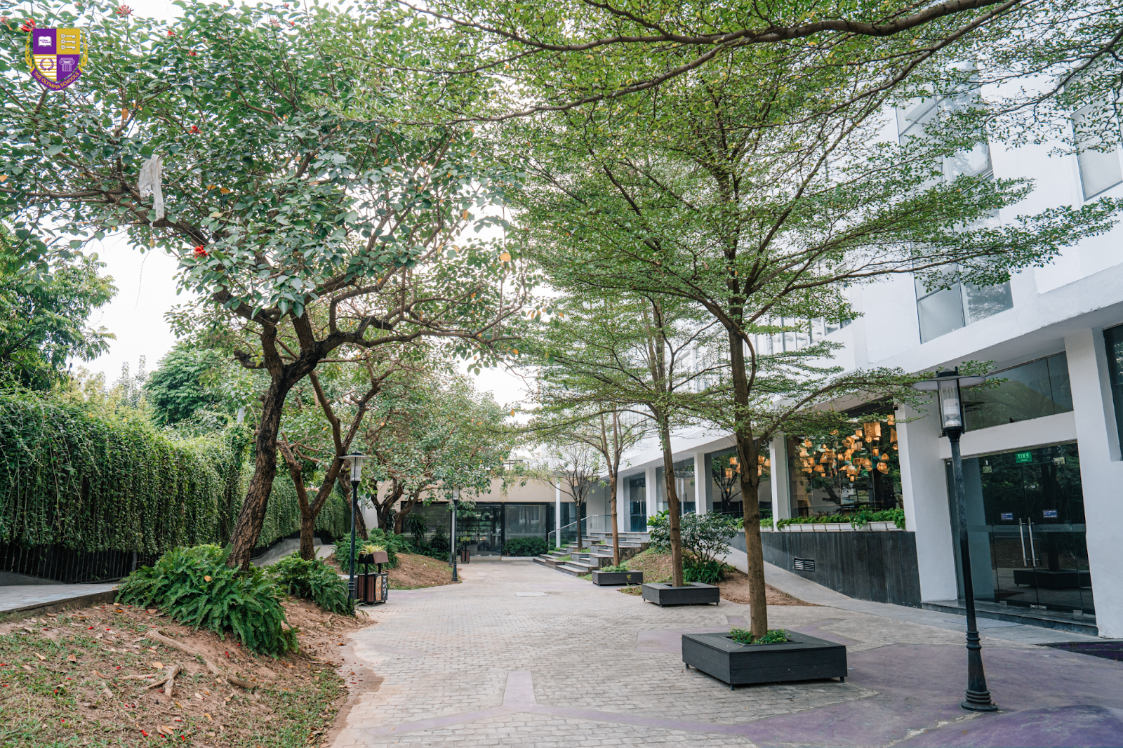 tri-thong-minh-thien-nhien-04 tri-thong-minh-thien-nhien-04