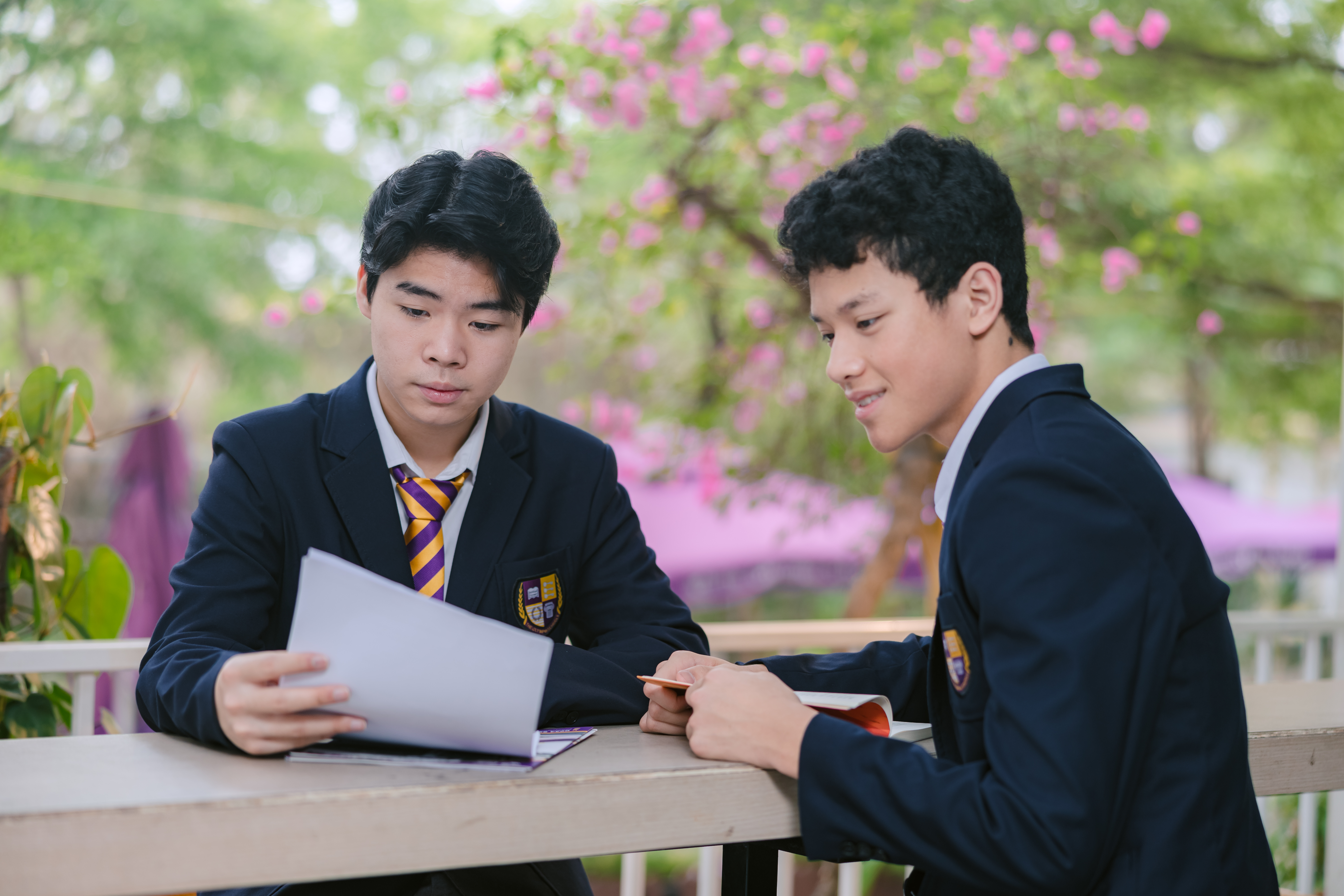 so s&aacute;nh chương tr&igrave;nh song ngữ v&agrave; IB